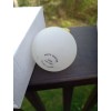 Parts Master 100 Watt Rough Service Bulbs - 4 Pack