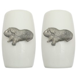 Guinea Pig China Salt and Pepper Shakers Cruet Set Modern White CSP 170