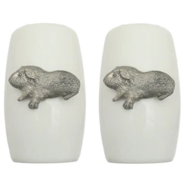 Guinea Pig China Salt and Pepper Shakers Cruet Set Modern White CSP 170