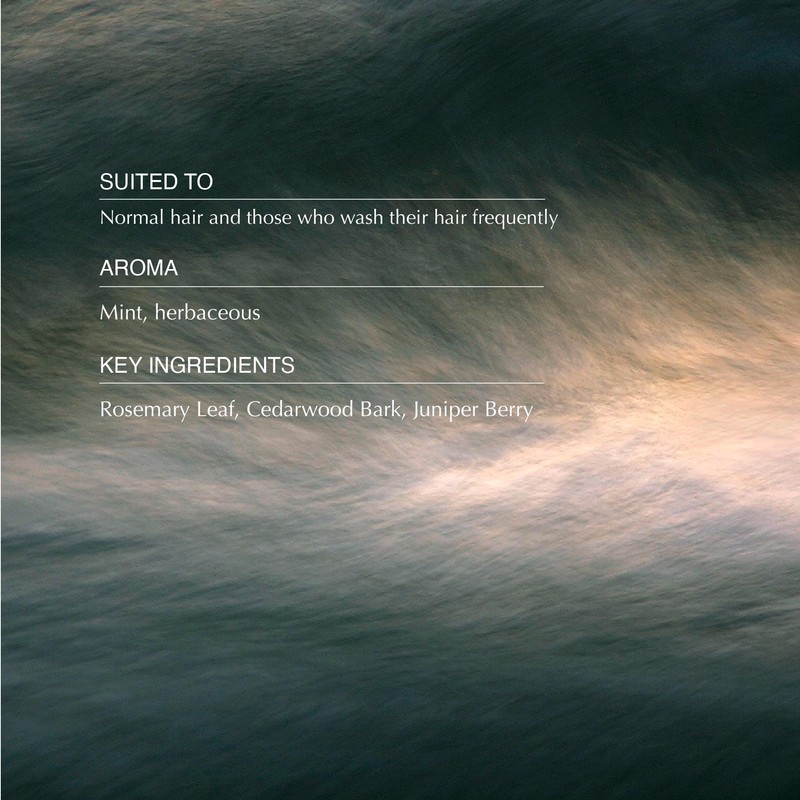 Aesop Classic Shampoo | Gentle Formulation | Leaves Hair Shiny,