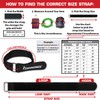 Premium Cinch Straps 2" x 12" with Stainless Steel Metal