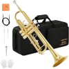 Eastar 🎺Eastar Bb TRUMPET - STUDENT / INTERMEDIATE CONCERT SCHOOL