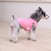 CuteBone Soft Dog Shirt Birthday Lightweight Small Puppy T-Shirts Pet