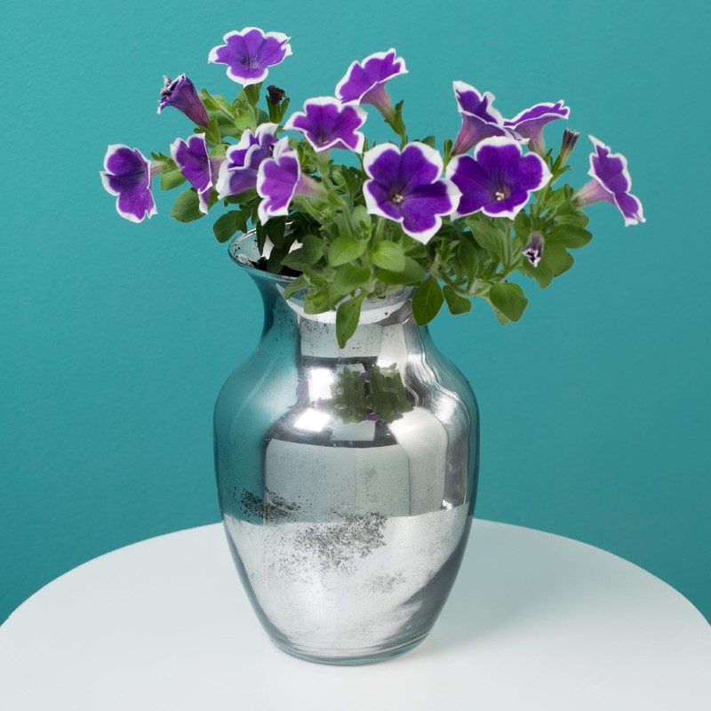 Rust-Oleum 301494-6PK Specialty Mirror Spray, Silver, 6 Ounce (Pack of