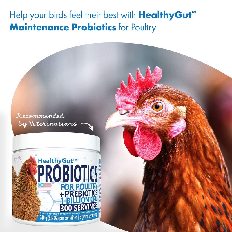 Equa Holistics HealthyGut Probiotics for Chickens & Poultry, All-Natural Digestive