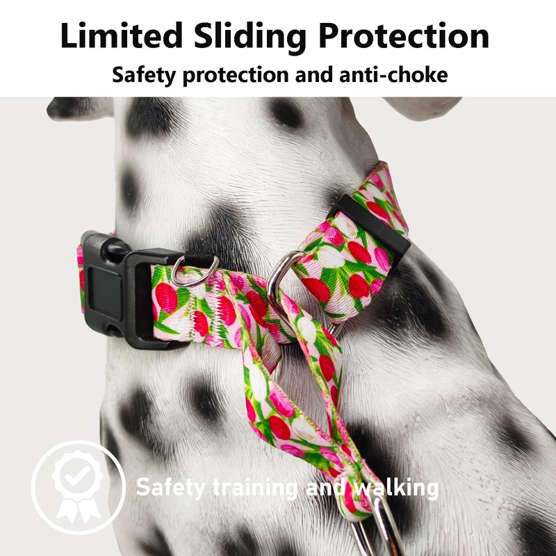 Fidohug Martingale Collar for Dogs with Buckle Floral No Pull