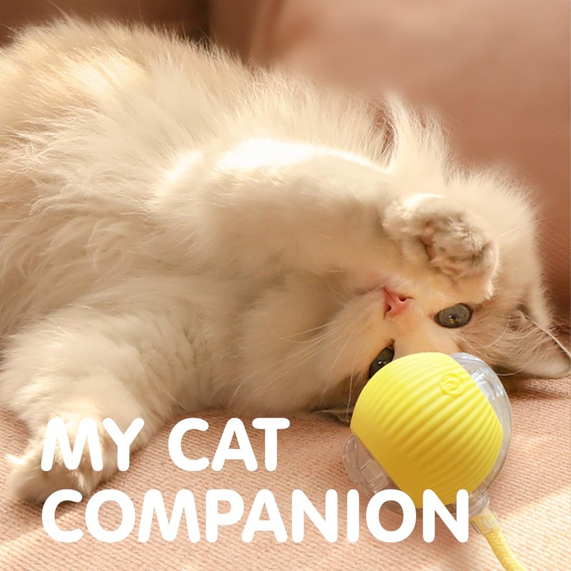 Rocfish Interactive Cat Toy for Indoor, Smart Automatic Cat Chase