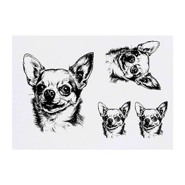 4 x 'chihuahua' Temporary Tattoos - Water Resistant, Skin-Safe, Non-Toxic Transfers, Mixed Sizes (TO00062468)