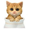 Figuren Shop GmbH Cat in Flower Pot - Orange Tabby