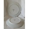 CHARTER CLUB Grand Buffet Platinum Collection 2 Dinner Plates New