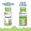 SOLARAY Horsetail 880 mg | Silica Supplement for Healthy Hair,