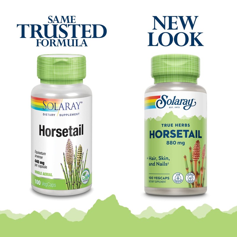 SOLARAY Horsetail 880 mg | Silica Supplement for Healthy Hair,