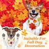 Chunful 100 Pieces Fall Dog Bandanas Bulk Autumn Pet Bandanas