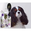 #1 All Systems Professional Grooming Kit for Cavalier King Charles