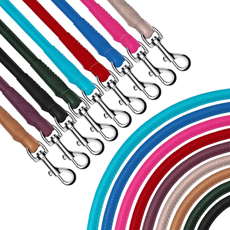 OOPSDOGGY Rolled Leather Dog Lead 6ft Heavy Duty Training Leash