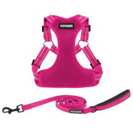 Best Pet Supplies Voyager Adjustable Dog Harness Leash Set with Reflective Stripes for Walking Heavy-Duty Full Body No Pull Vest with Leash D-Ring, Breathable All-Weather - Fuchsia, M