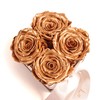 Infinity Rose Box 4 Real Roses Preserved Golden Wedding Gift
