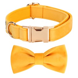 Mewtwo Velvet Dog Collar Gift Box, with Bow Tie and Metal Buckle；Puppy Collar for Boys and Girls; Holiday Pet Gifts; Suitable for Large, Medium and Small Dogs；Sunflower Yellow, Medium (Pack of 1)