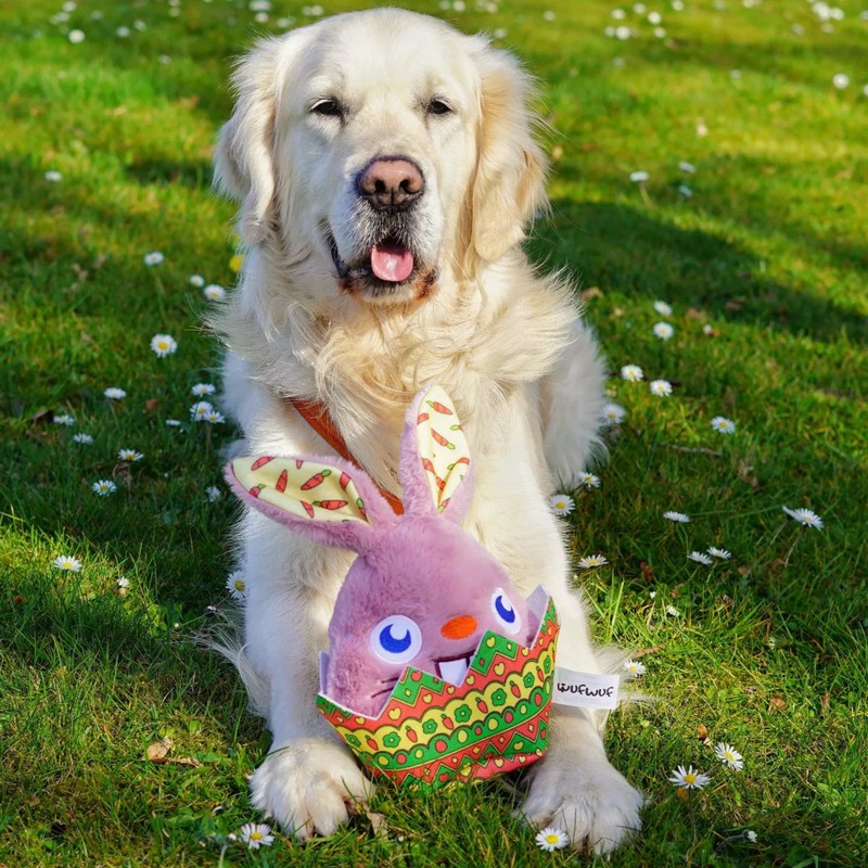 WufWuf Rabbit in the Egg Shell | Easter Themed Squeaky