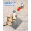 Happi N Pets Cat Scratching Post, Cat Scratcher for Indoor