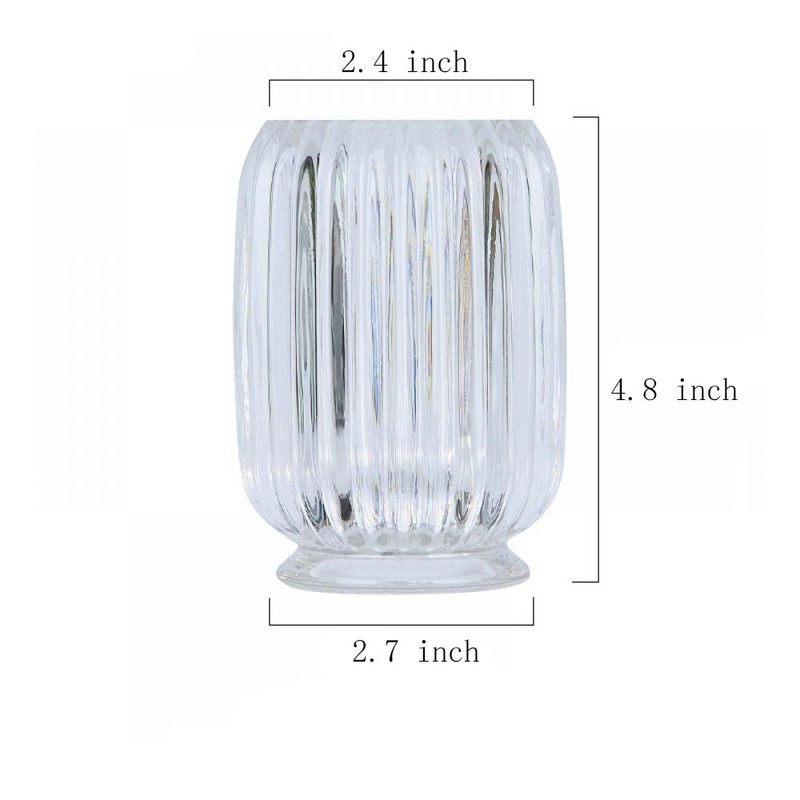 Gaolinci Clear Tumbler Cup Makeup Brush Toothbrush Holder for Bathroom,