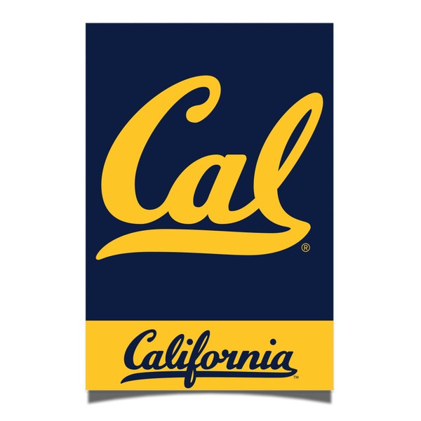 Desert Cactus University of California, Berkeley Poster Cal Golden Bears