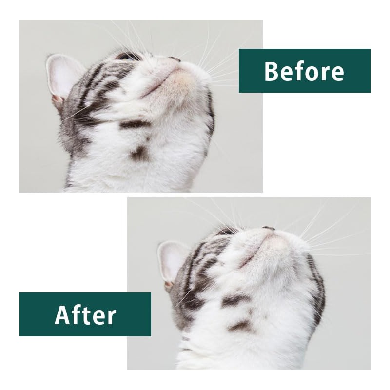 A.P.D.C. Cat Professional Standard Care Shampoo & Conditioner Mini Bottle