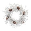 Melrose Iced Branch with Pinecone Artificial Christmas Wreath, 24-Inch, Unlit