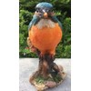 Kingfisher on a Stump, Wild Bird Collection by Vivid Arts