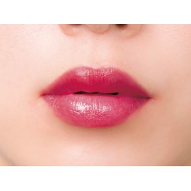 INTENTIO Double Color Lip
