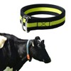 The Cow Collar is Adjustable in Size, Suitable for Managing