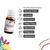 Nativa 5 Sleep Blend aromaterapia para difusor relajación lavanda