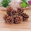 Qlisytpps 25 PCS Christmas Pine Cones Natural larch cones white