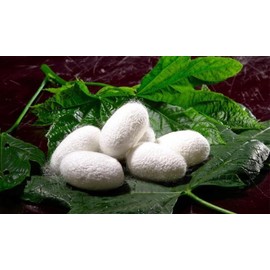 (100pcs) - 2500 Silk Art China Natural 100% Mulberry Silk Floss Handmade Embroidery Woven Jewellery Threads DIY Kits 100 Colours 200m SIX001 (100pcs)