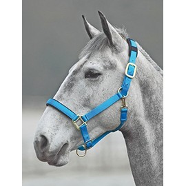 Shires Topaz Leather Breakaway Nylon Headcollar