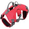 JUNELILY Pet Harness for Dogs Cats | Adjustable Soft Padded