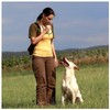 Dog Training Whistle Flute Ultrasonic High Pitch Silent Whistle for