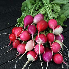 Organic Easter Egg Radish - 1 OZ ~2,675 Seeds - Organic, Heirloom, Open Pollinated, Non-GMO, Farm & Vegetable Gardening Seeds