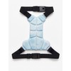 Dry-Chill Dog Cooling Vest – Adjustable Summer Jacket for Hot
