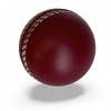 CRICKET-GIFTS Large 7cm Cricket Ball Squeezy Stress Ball