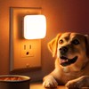 Amber Night Lights Plug into Wall, Nightlights With Light Sensor