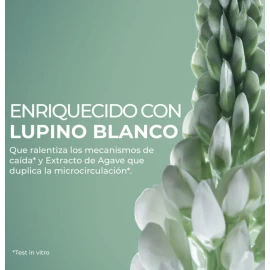 Yves Rocher - Set Tratamiento Capilar Anticaida 5pzs