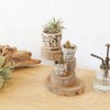 Tomo Corporation Stump Tray with 3 Tier Slide