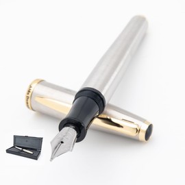 Monteverde USA Aldo Domani Fountain Pen Brushed – Fine Nib – Free Ink Bottle, Converter & Cartridges – Great Gift for Writers