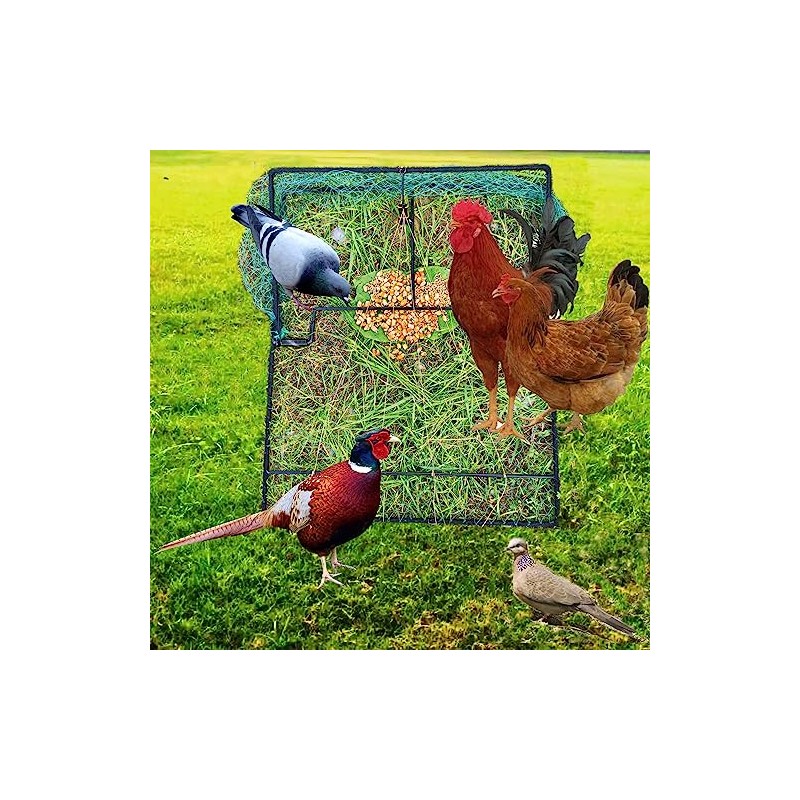 Pigeon Bird Trap Trapping Chicken Quail 2 Pack Spring Starling