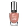 Sally Hansen Complete Salon Manicure Nail Polish, Colour 250, Mudslide