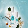 Moroccanoil Brumes du Maroc, 100 ml