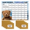Lazy Snail 'Name the Bear' Fundraising Cards - Pack of