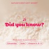 The Face Shop - Rice Water Bright - Cleansing Light
