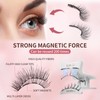 Magnetic Eyelashes, Reusable Dual Magnetic Lashes without Eyeliner, Natural Look